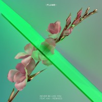 Purchase Flume - Never Be Like You (Remixes)