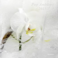 Purchase VA - Pop Ambient 2015