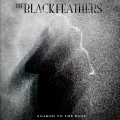 Buy The Black Feathers - Soaked To The Bone Mp3 Download