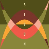 Purchase Bison - Travellers