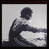 Purchase The Felice Brothers - Life In The Dark
