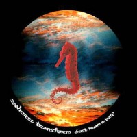 Purchase Seahorse Transform - Dust From A Trip