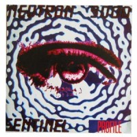 Purchase Neutron 9000 - Sentinel (Feat. Linda Wright) (CDS)