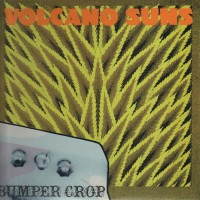 Purchase Volcano Suns - Bumper Crop