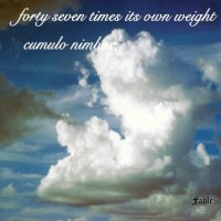 Purchase Forty Seven Times Its Own Weight - Cumulo Nimbus (Vinyl)