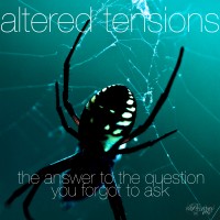 Purchase Matt Lange - Altered Tensions - The Answer To The Question You Forgot To Ask