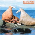 Buy Neutron 9000 - Walrus Mp3 Download