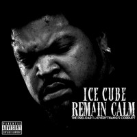 Purchase Ice Cube - Remain Calm