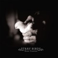 Buy Rose Cousins - Stray Birds Mp3 Download