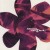 Buy Madison Violet - Mad Violet (EP) Mp3 Download