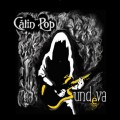 Buy Călin Pop - Undeva Mp3 Download