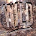 Buy Wild - Wild Mp3 Download