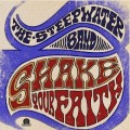 Buy The Steepwater Band - Shake Your Faith (Deluxe Edition) Mp3 Download