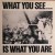 Buy Alternative Tv - What You See Is Whatyou Are (Vinyl) Mp3 Download
