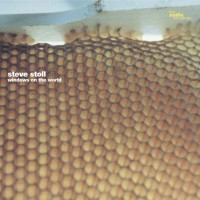 Purchase Steve Stoll - Windows On The World