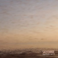 Purchase Enrico Coniglio - Salicornie (Areavirus Topofonie Vol 2)
