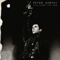 Purchase Peter Murphy - Wild Birds Live Tour