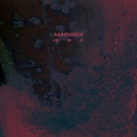 Purchase Aardvarck - Co In Ci