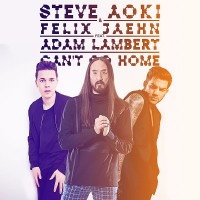 Purchase Steve Aoki - Can't Go Home (Radio Edit) (CDS)