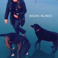 Purchase David Bazan - Blanco