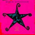 Buy Robyn Hitchcock - A Star For Bram Mp3 Download