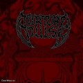 Buy Torture Pulse - Devilroot Mp3 Download