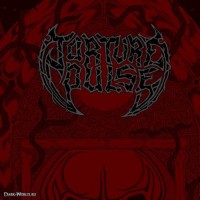 Purchase Torture Pulse - Devilroot