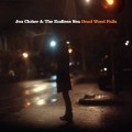 Buy Jen Cloher & The Endless Sea - Dead Wood Falls Mp3 Download