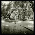 Buy Thomas Fehlmann - Eye - Tree (CDS) Mp3 Download