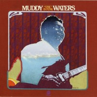 Purchase Muddy Waters - Unk In Funk (Vinyl)