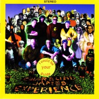 Purchase The Colorblind James Experience - I Could Be Your Guide