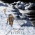 Buy Adam Young - The Ascent Of Everest Mp3 Download