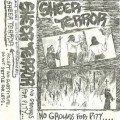 Buy Sheer Terror - No Grounds For Pity... (Cassette) Mp3 Download