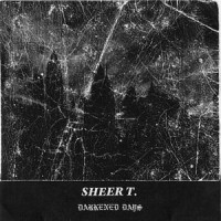 Purchase Sheer Terror - Darkened Days (VLS)