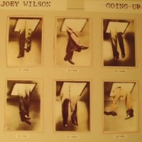 Purchase Joey Wilson - Going Up (Vinyl)