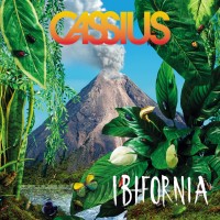 Purchase Cassius - Ibifornia