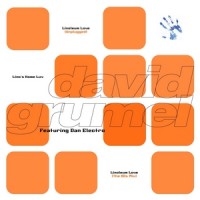 Purchase David Grumel - Linoleum Love (Remixed) (CDS)