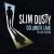 Buy Slim Dusty - Columbia Lane - The Last Sessions Mp3 Download