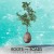 Buy Yossi Sassi Band - Roots And Roads Mp3 Download