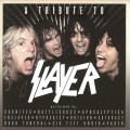 Buy VA - A Tribute To Slayer Mp3 Download