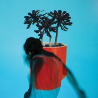 Purchase Local Natives - Sunlit Youth