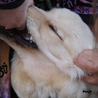 Purchase Christian Fennesz & Jim O'rourke - It's Hard For Me To Say I'm Sorry
