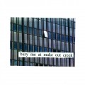 Buy Mitski - Bury Me At Makeout Creek Mp3 Download