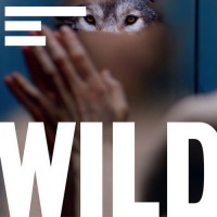 Purchase Terranova - Wild Soundtrack CD1