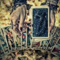 Buy Infinite Spectrum - Misguided Mp3 Download