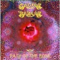 Buy Saddar Bazaar - Path Of The Rose Mp3 Download