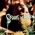 Buy Cyndi Lauper - Sisters Of Avalon Mp3 Download