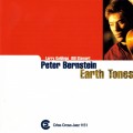 Buy Peter Bernstein - Earth Tones Mp3 Download
