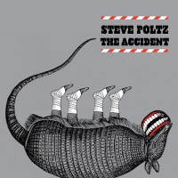 Purchase Steve Poltz - The Accident