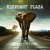 Purchase Elephant Plaza- Momentum MP3